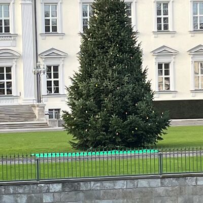 Weihnachtsbaum vor dem Schloss Bellevue