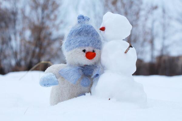 Bild vergrößern: snowman_snow_two_winter_friends_new_year's_eve_holiday_christmas-839314 (1)