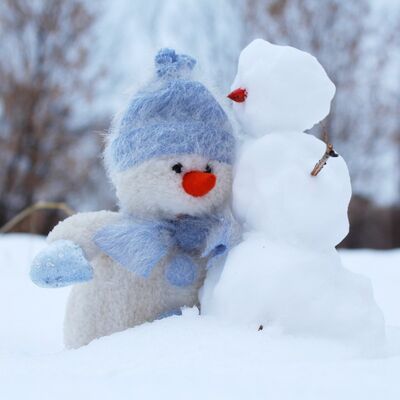 snowman_snow_two_winter_friends_new_year's_eve_holiday_christmas-839314 (1)